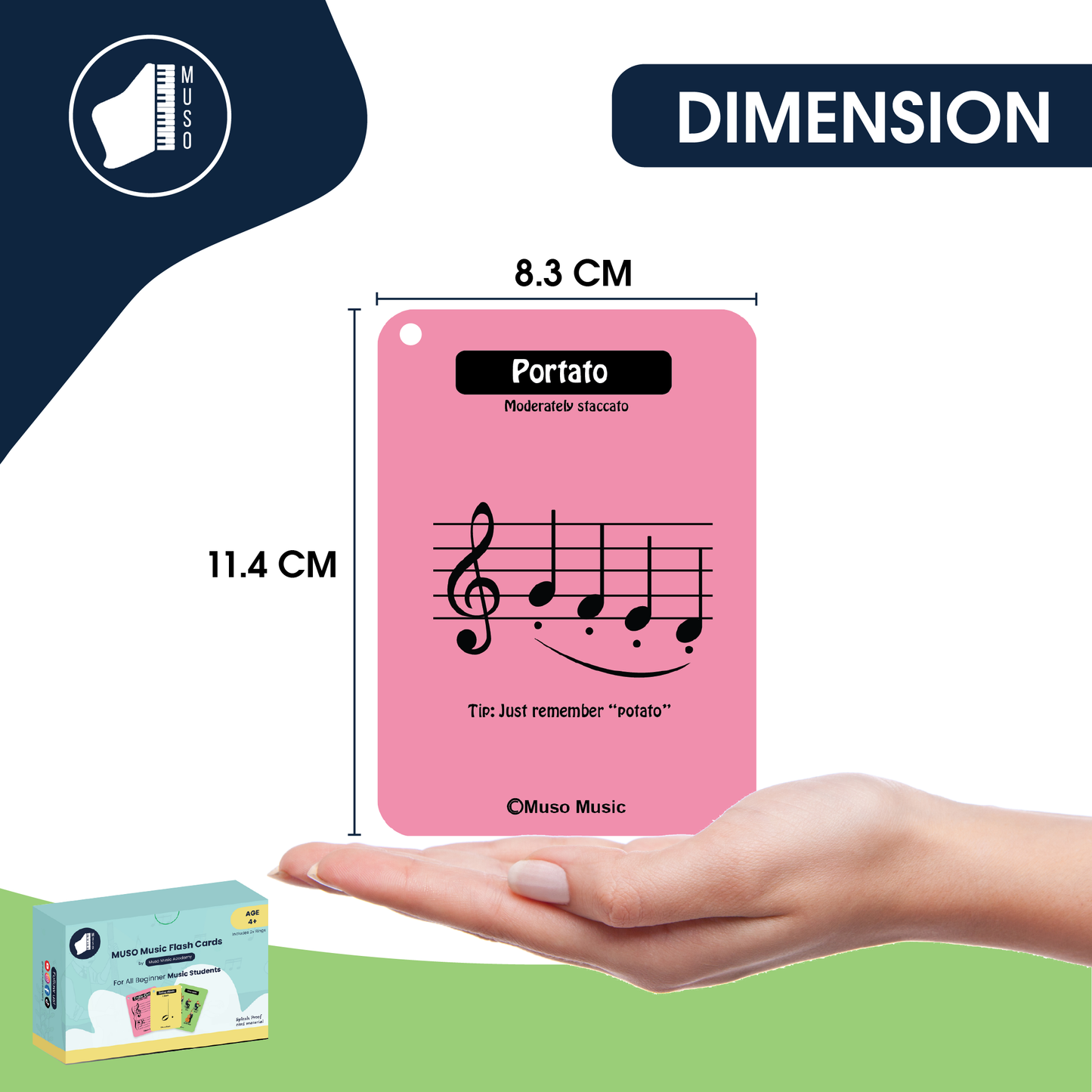 US 2.0 Muso Music Flash Cards for beginner music students - Learn notes FAST (Solfège)